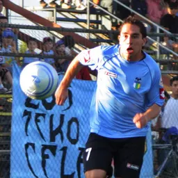 Portrait of Fernando Meneses
