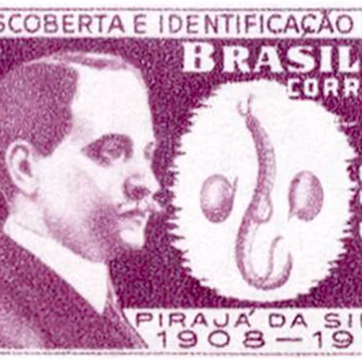 Portrait of Pirajá da Silva