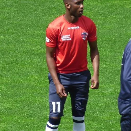 Portrait of Alassane N'Diaye