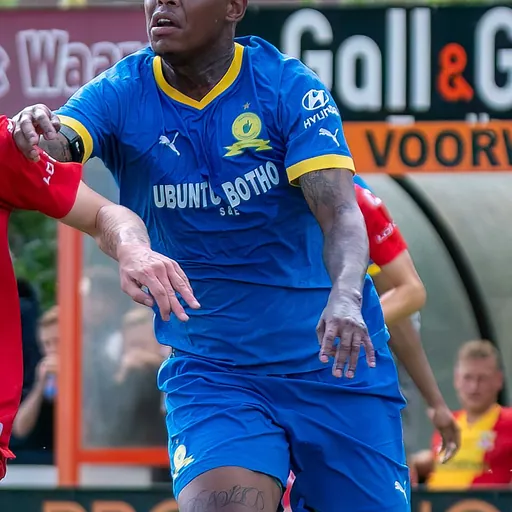 Portrait of Bongani Zungu