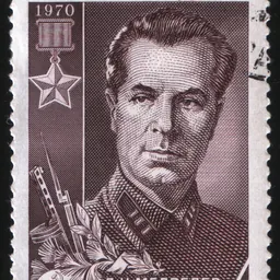 Portrait of Dmitry Medvedev