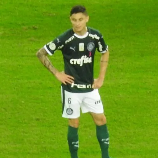 Portrait of Diogo Barbosa
