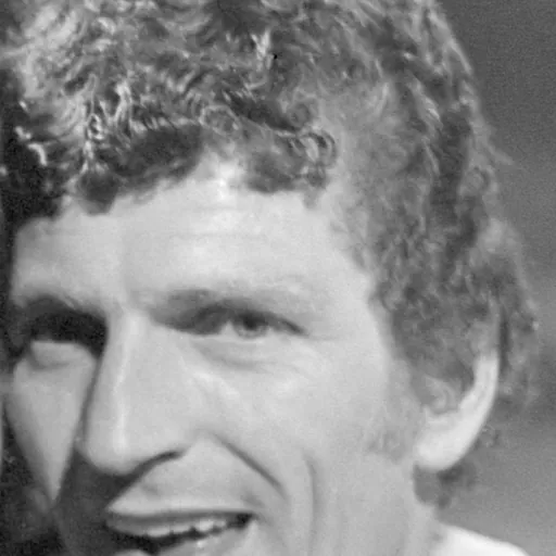 Portrait of Henk Overgoor