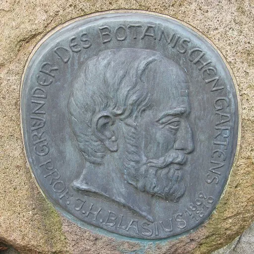 Portrait of Johann Heinrich Blasius