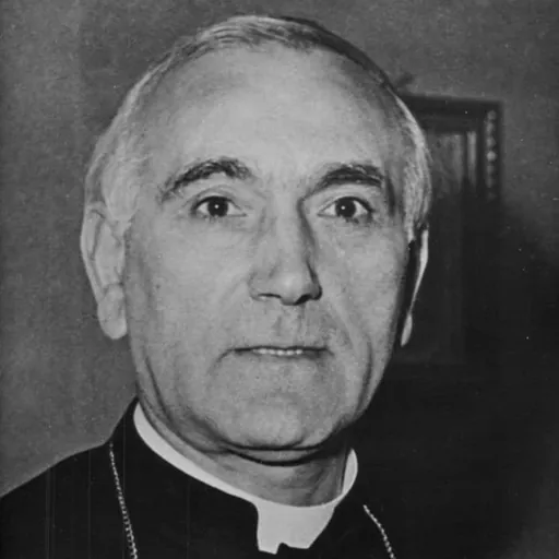 Portrait of Carlo Confalonieri