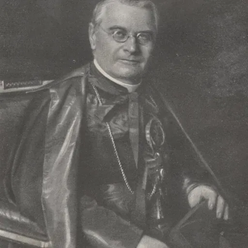 Portrait of Willem Marinus van Rossum