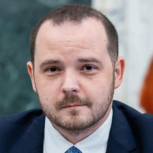 Portrait of Alexandru Rogobete