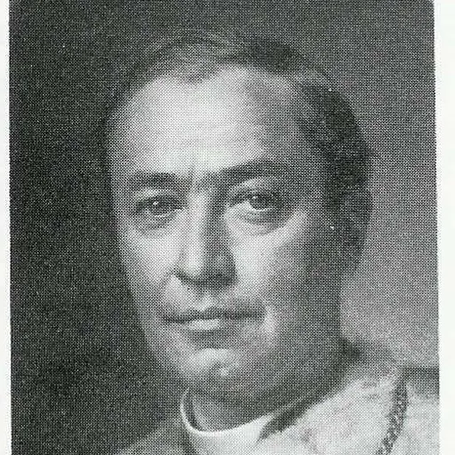 Portrait of Gustave Waffelaert