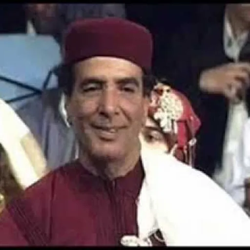 Portrait of Mohamed Hassan