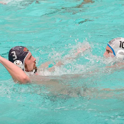 Portrait of Dimitri Goantă