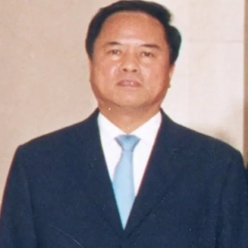 Portrait of Liu Cigui