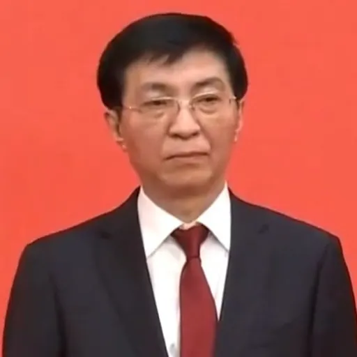Portrait of Wang Huning