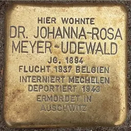 Portrait of Johanna Meyer-Udewald