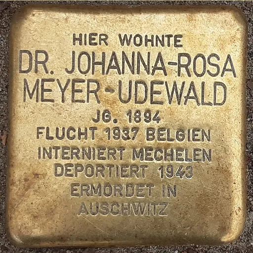Portrait of Johanna Meyer-Udewald
