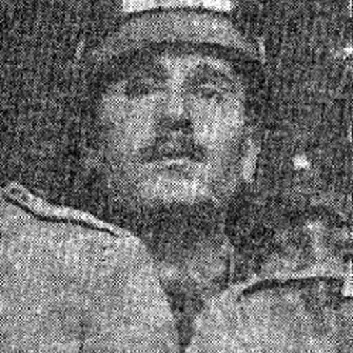 Portrait of Yasin Hashimi
