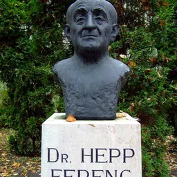 Portrait of Ferenc Hepp
