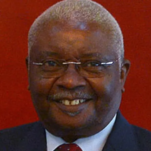 Portrait of Armando Guebuza