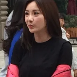 Portrait of Liu Yan
