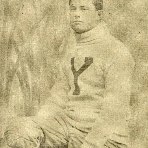 Portrait of Alexander Hamilton Wallis