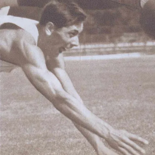 Portrait of Gheorghe Ferariu