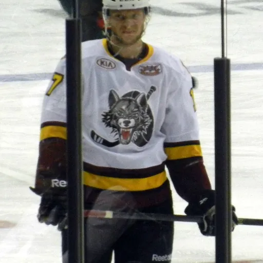 Portrait of Sergei Andronov