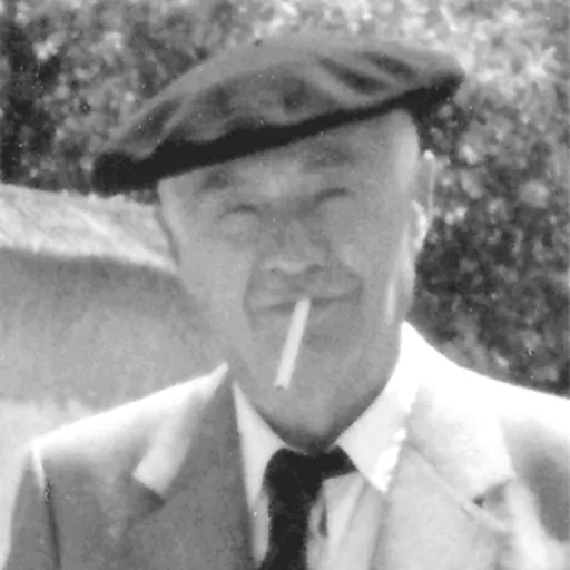 Portrait of Gustave Thibon
