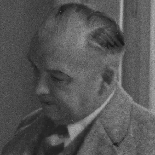 Portrait of Woldemar Brinkmann