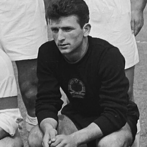 Portrait of Mikel Janku