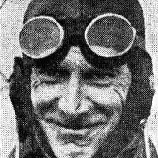 Portrait of Geoffrey de Havilland, Jr.