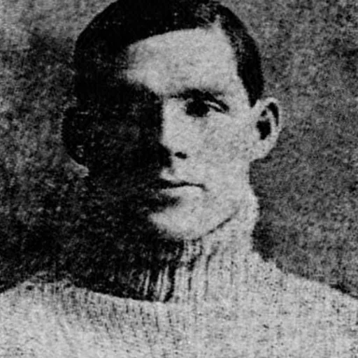 Portrait of John Reed