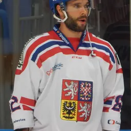 Portrait of Michal Řepík