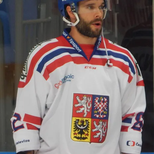 Portrait of Michal Řepík