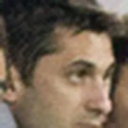 Portrait of Claudiu Niculescu