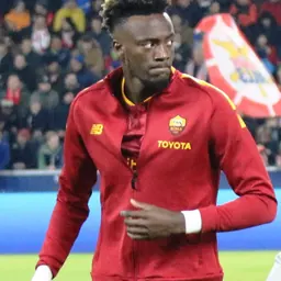 Portrait of Tammy Abraham