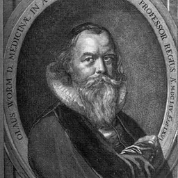 Portrait of Ole Worm