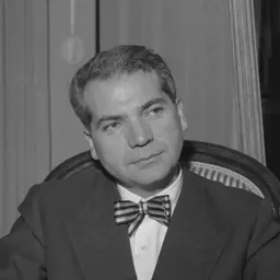 Portrait of Paul Burkhard