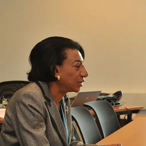 Portrait of Maria de Jesus dos Reis Ferreira