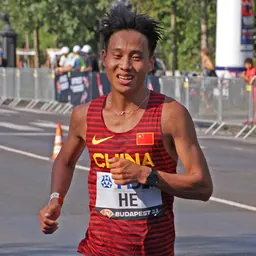Portrait of He Jie