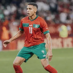 Portrait of Abdelhamid Sabiri