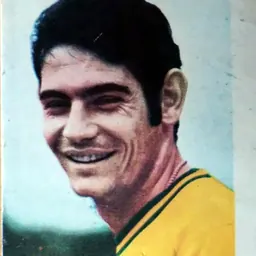 Portrait of Rivelino