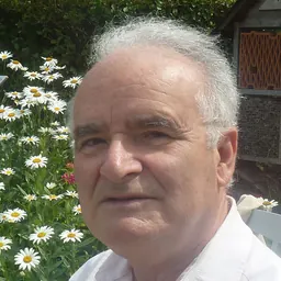 Portrait of Hervé Roullet