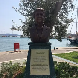 Portrait of Türkan Saylan