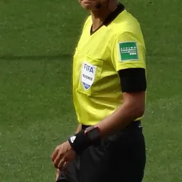 Portrait of Qin Liang