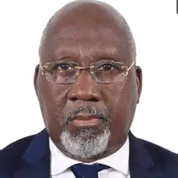 Portrait of Alcide Djédjé