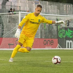 Portrait of Matt Silva