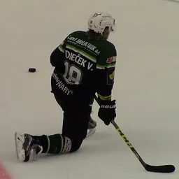 Portrait of Vojtěch Tomeček