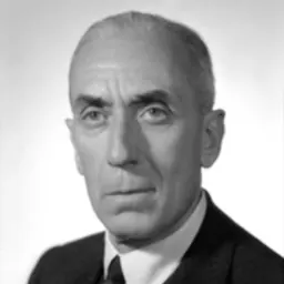 Portrait of Raffaele Cadorna