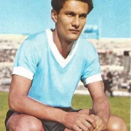 Portrait of Pedro Rocha