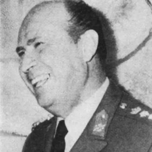 Portrait of Dimitrios Ioannidis