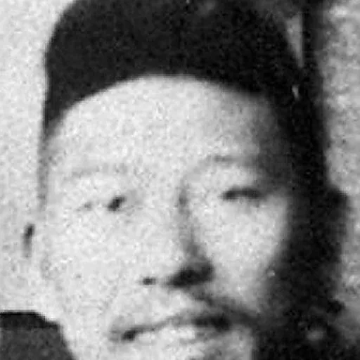 Portrait of Guo Liang